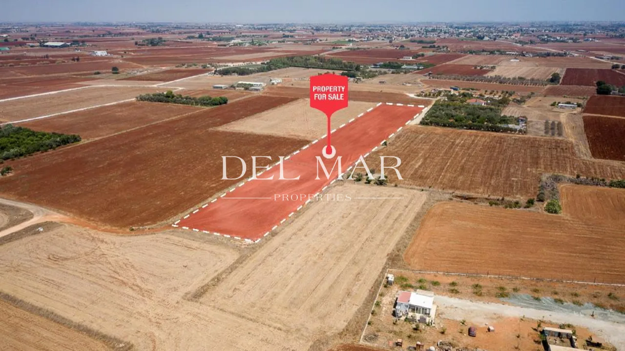 Agricultural Field, Avgorou, Famagusta