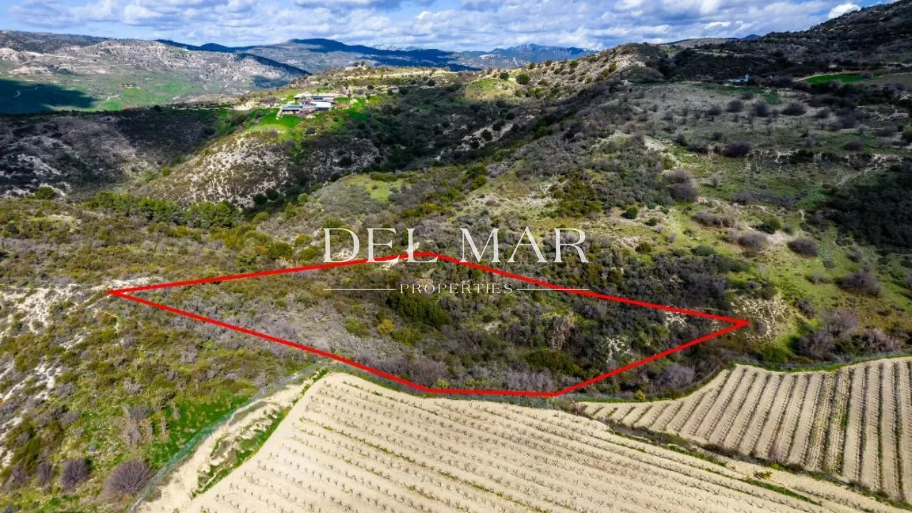 Field in Dora, Limassol