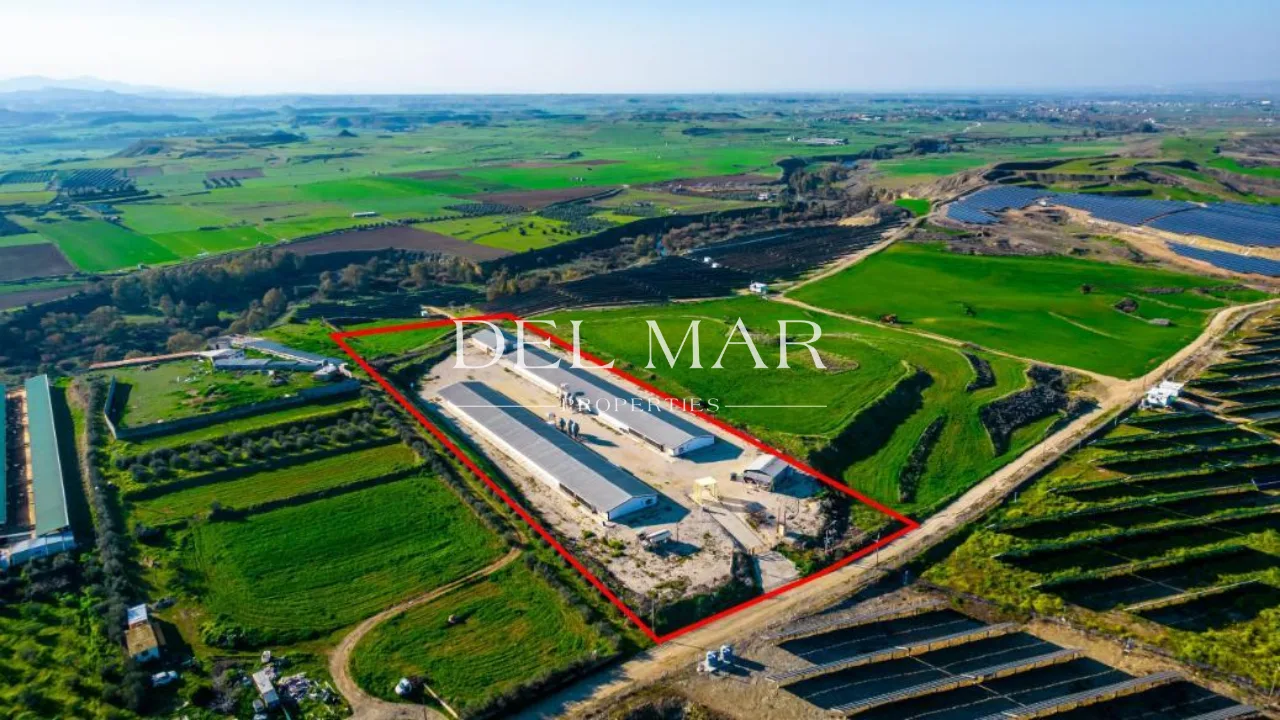 Field with a poultry farm in Agios Ioannis Malountas, Nicosia