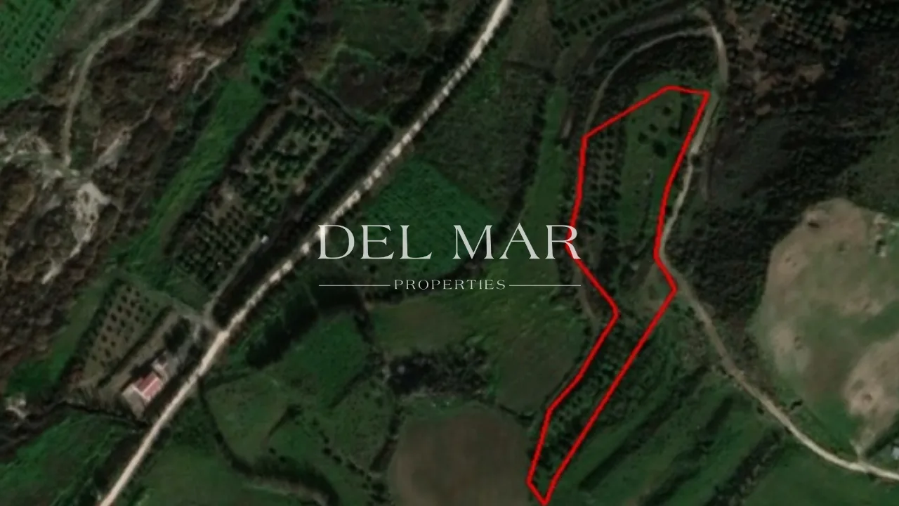 Field in Agia Varvara, Paphos