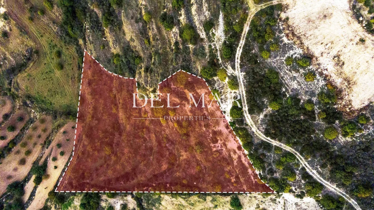 Field in Koili, Paphos