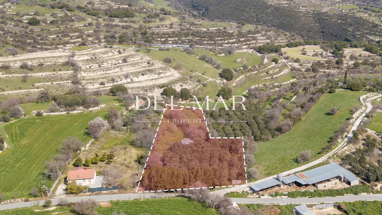 Residential Field in Dora, Limassol