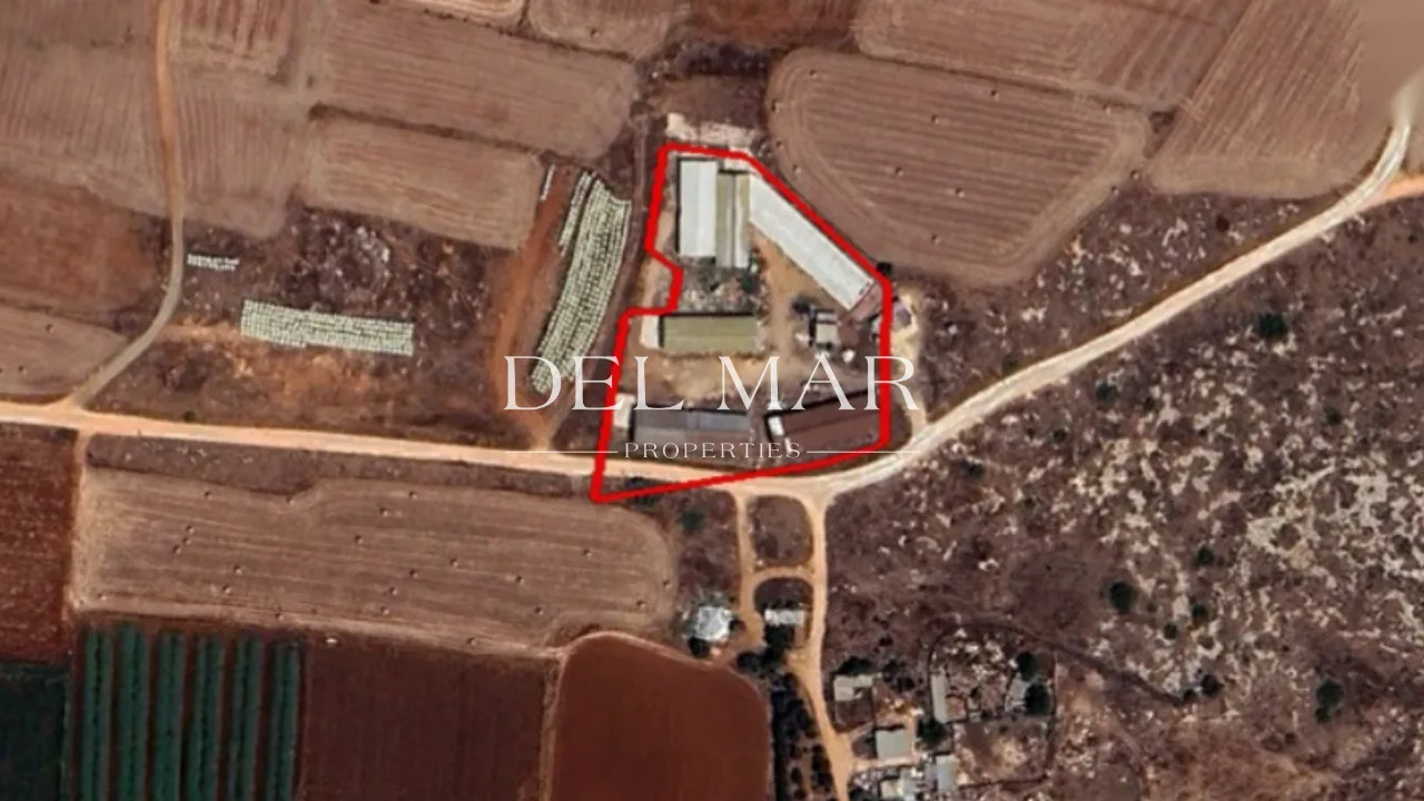 Agricultural Field, Avgorou, Famagusta