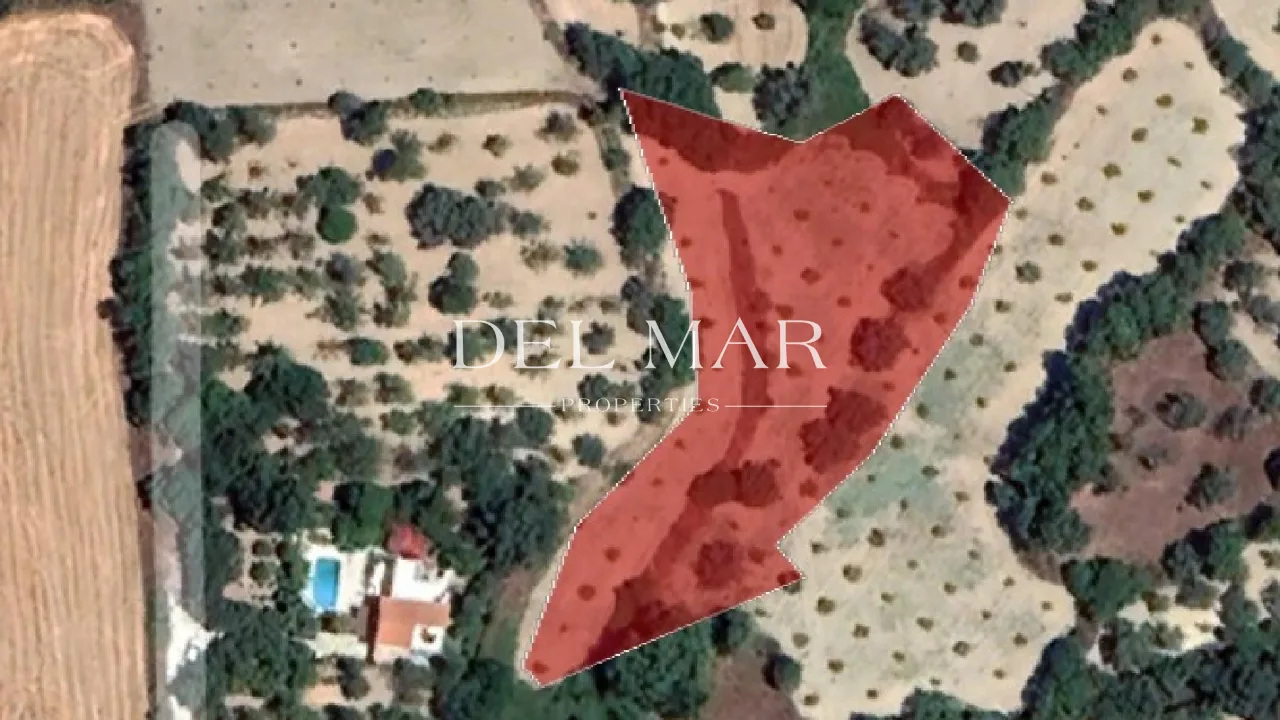 Residential Field in Giolou, Paphos