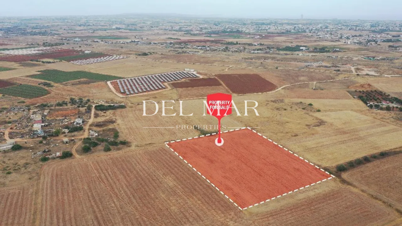 Agricultural Field in Avgorou, Famagusta