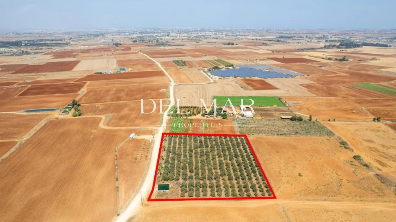Agricultural Field in Avgorou, Famagusta