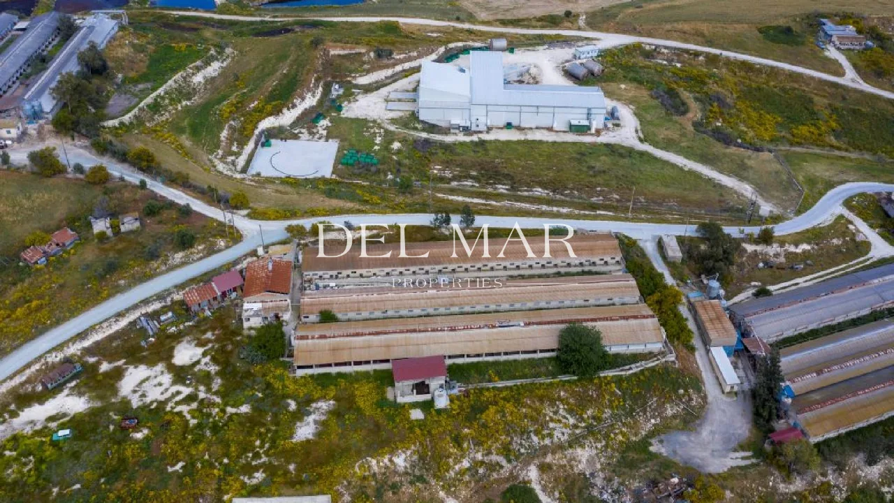 Pig Farm in Aradippou, Larnaca