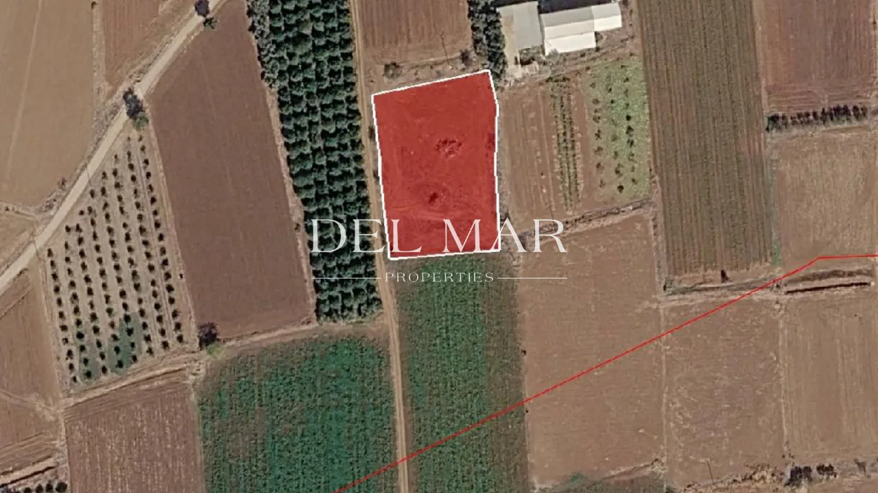 Agricultural Field in Peristerona, Nicosia