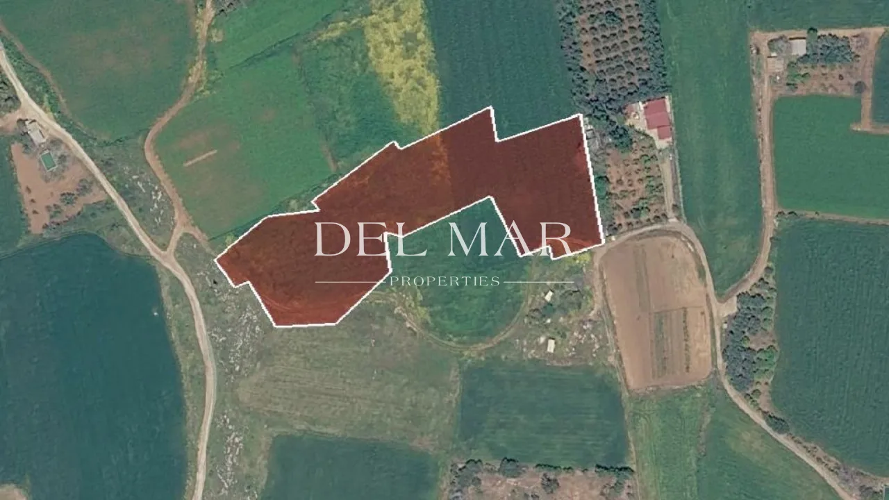 Agricultural Field Share in Frenaros, Famagusta